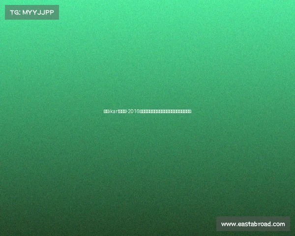 沈阳ikart卡丁车-2016沈阳卡丁车赛事激情竞速精彩无限盛大开幕盛宴