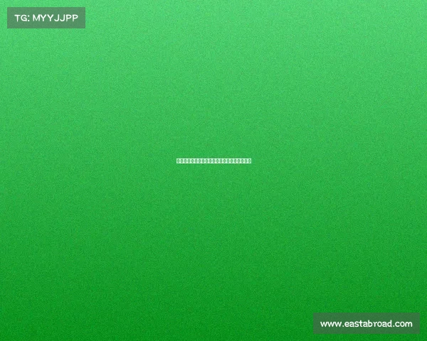 中国女篮新赛事激情开战,巾帼风采闪耀新征程 中国女篮新赛事激情开战,巾帼风采闪耀新征程