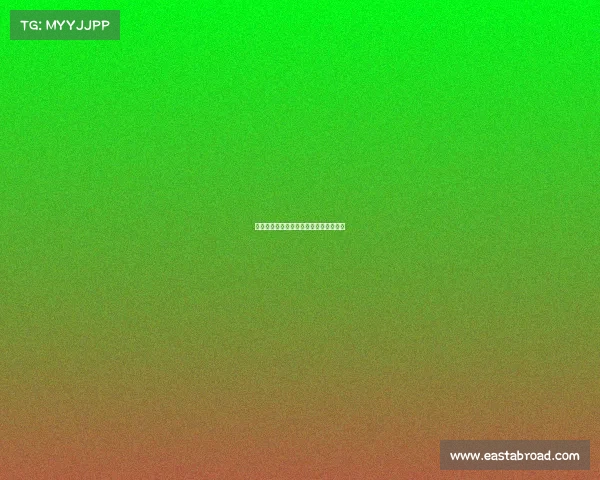 沈阳申办赛事—沈阳市竞赛训练管理中心