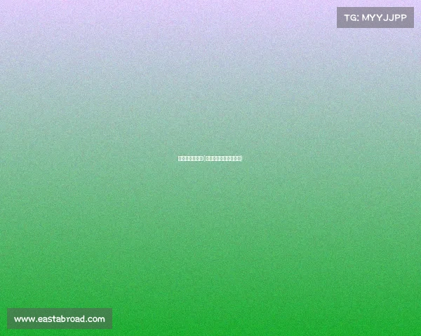 文昌赛事网球队(文昌网络科技有限公司)