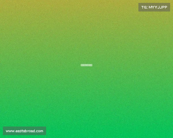 网球哪个赛事最高