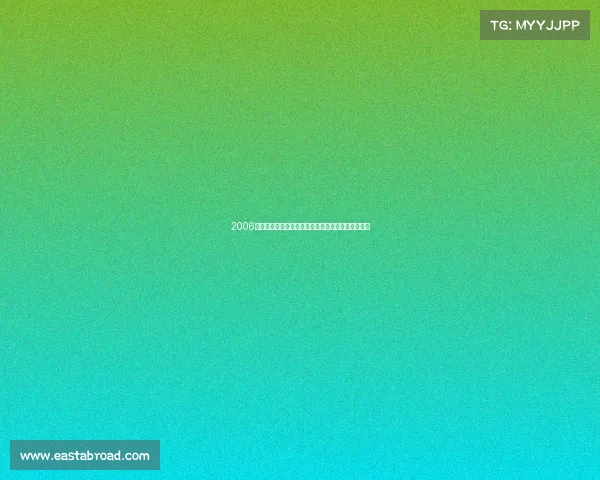 2006年休斯顿火箭队姚明领军麦迪伤退难忘赛季征程回顾